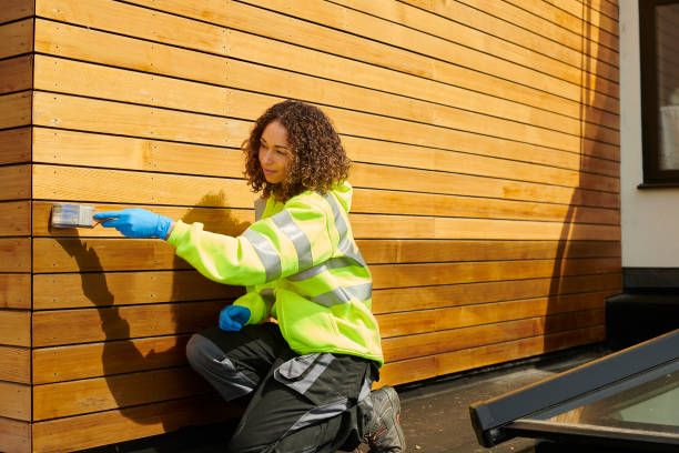 Professional Siding in Lake Wildwood, CA